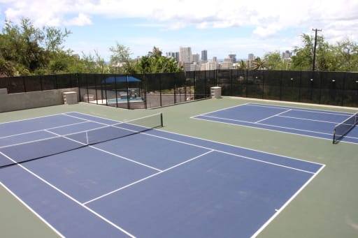 WO Trong Tennis Là Gì? Giải Thích Chi Tiết Thuật Ngữ Quan Trọng Này WO Trong Tennis Là Gì? Giải Thích Chi Tiết Thuật Ngữ Quan Trọng Này