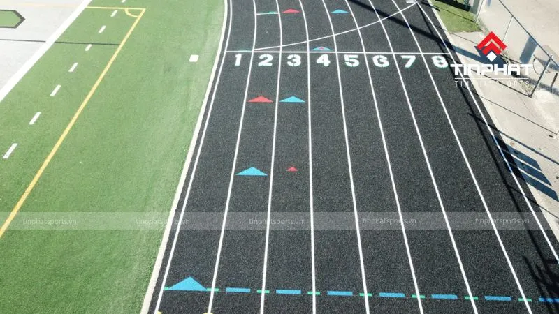 Cầu thủ thi đấu trên sân cỏ tự nhiên, minh họa vai trò của đường pitch đối với sức khỏe và an toàn