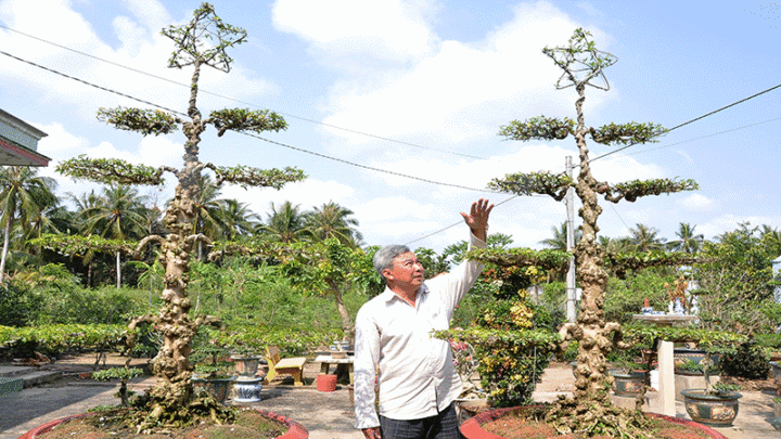 Thế Nào Là Đào Tạo Multiball Bóng Bàn Chuẩn Chuyên Gia?