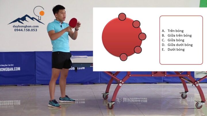 Góc Bắn Vợt Bóng Bàn Là Gì? Giải Mã Yếu Tố Quyết Định Đường Đi Của Bóng