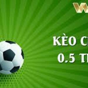 Kèo 0 0.5 Là Gì: Giải Thích Tỷ Lệ Và Kinh Nghiệm Soi Kèo Chuẩn Xác