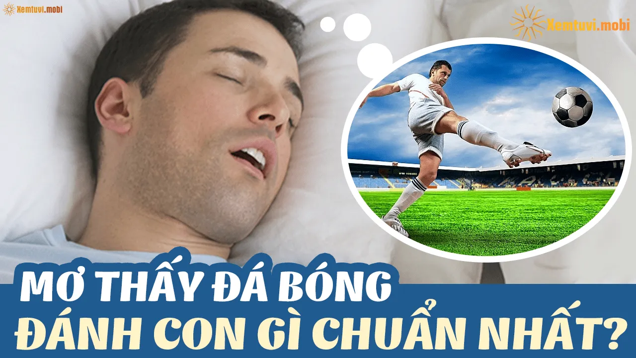 Khám phá con số may mắn khi allintitle:mơ thấy đi đá bóng đánh con gì