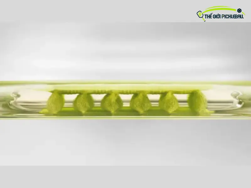 Cấu trúc túi khí Nike Air Zoom với các sợi căng bên trong