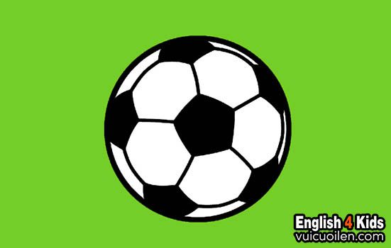 Quả Bóng Đá Tiếng Anh Là Gì: Giải Mã Khác Biệt Giữa Soccer Và Football Quả Bóng Đá Tiếng Anh Là Gì: Giải Mã Khác Biệt Giữa Soccer Và Football