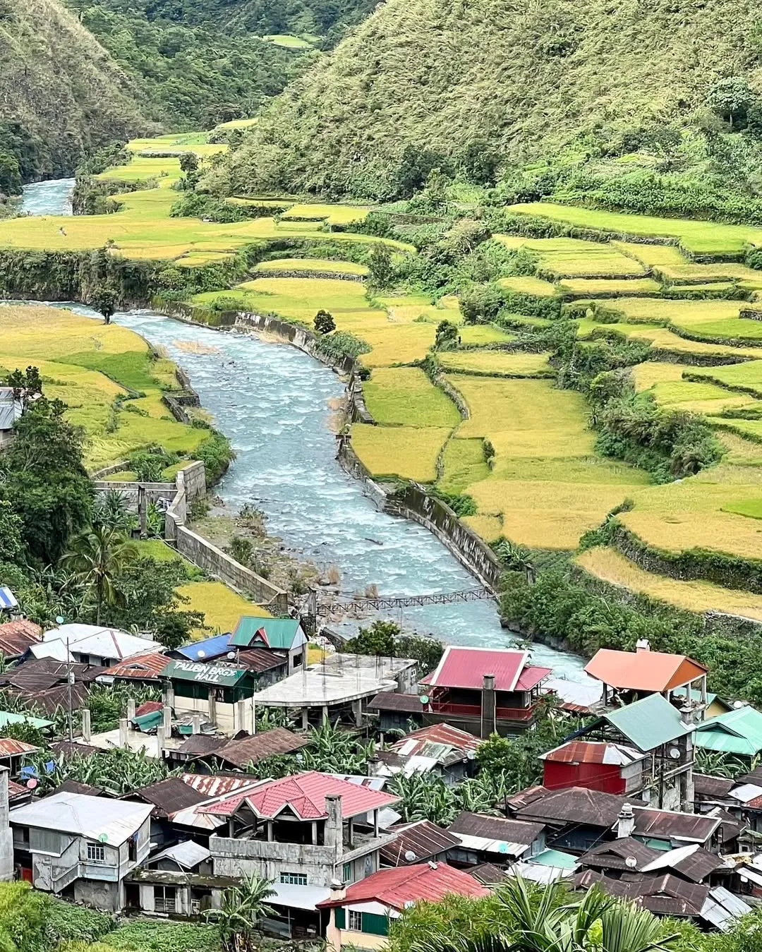 Ruộng bậc thang Bayyo xanh tươi, một tuyệt tác thiên nhiên