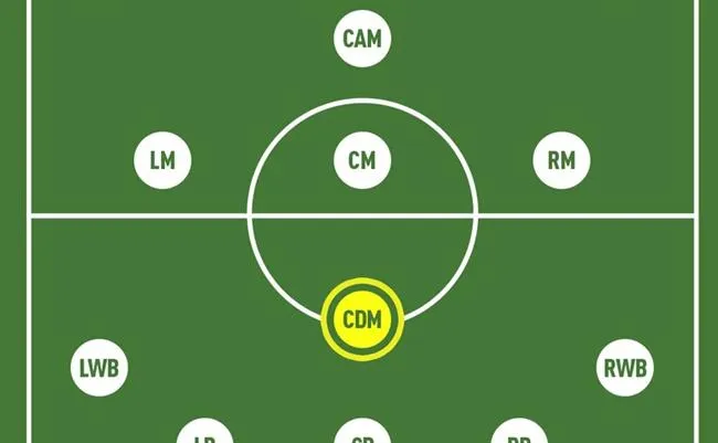 Tổng quan các sơ đồ chiến thuật bóng đá, bao gồm cả những hệ thống 5 hậu vệ và cách chúng phát triển theo thời gian.