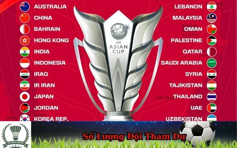 Biểu đồ thống kê số lượng đội tham dự giải bóng đá Asian Cup là gì qua các thời kỳ