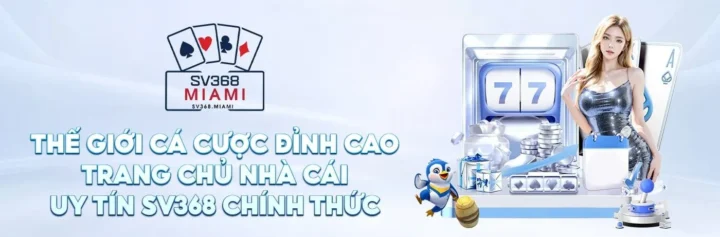 Sân Chơi Tennis Gọi Là Gì? Giải Mã Các Loại Sân Phổ Biến Nhất