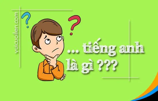 Tìm Hiểu Cách Gọi Tên Và Phát Âm Chuẩn Của "Bóng Bàn" Trong Tiếng Anh
