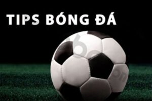 Tip Bóng Đá Là Gì? Giải Mã Nhận Định Kèo Từ A-Z