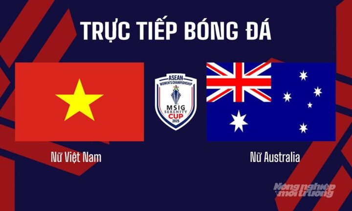 Trực Tiếp Bóng Đá Kênh Gì? Chọn Lựa An Toàn Và Chất Lượng Cho Mùa Giải