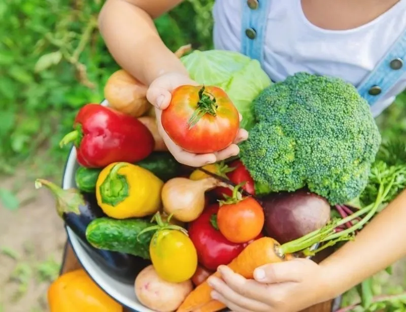 Thực phẩm nhẹ, dễ tiêu hóa như đu đủ, bơ, chuối giúp tránh cảm giác nặng bụng, lý tưởng cho việc nên ăn gì trước khi đá bóng.