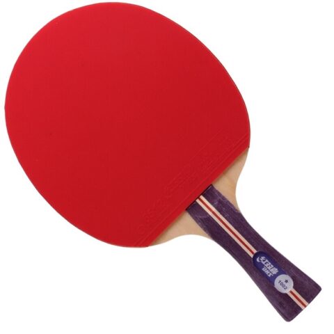 Table Tennis Paddles Nghĩa Là Gì: Giải Mã Vợt Bóng Bàn Chuyên Sâu