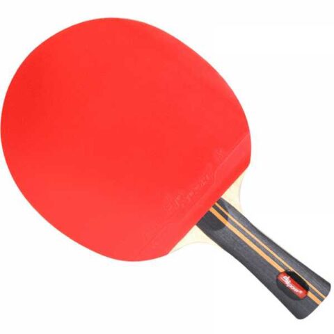 Table Tennis Paddles Nghĩa Là Gì: Giải Mã Vợt Bóng Bàn Chuyên Sâu