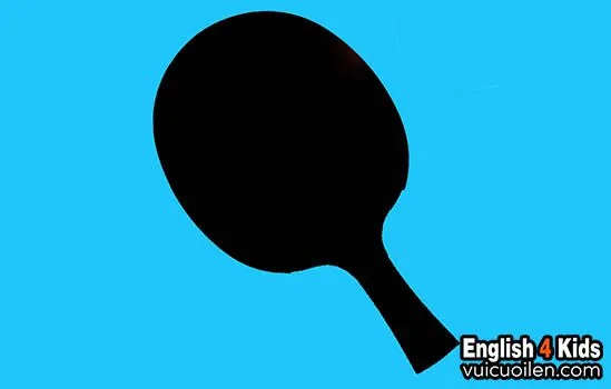 Các Loại Vợt Bóng Bàn Phổ Biến Và Thuật Ngữ Tiếng Anh