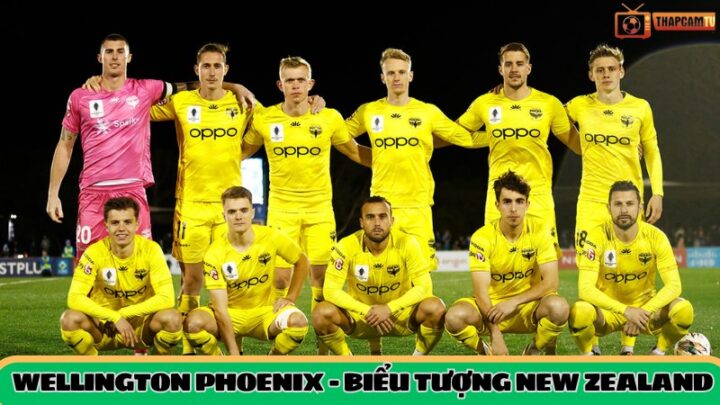 FC Trong Bóng Đá Là Gì: Khám Phá Ý Nghĩa Và Vai Trò Các Câu Lạc Bộ FC Trong Bóng Đá Là Gì: Khám Phá Ý Nghĩa Và Vai Trò Các Câu Lạc Bộ