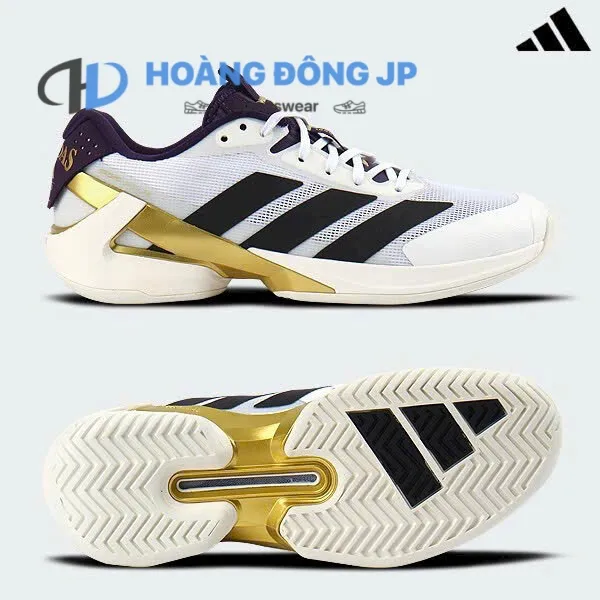 Giày Tennis Là Gì Và Hướng Dẫn Chọn Chuẩn Nhất